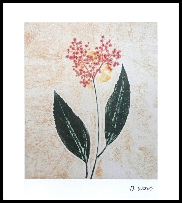 DNA WSP 219 Floral Ii